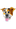 Your Dogs Daddy - Home